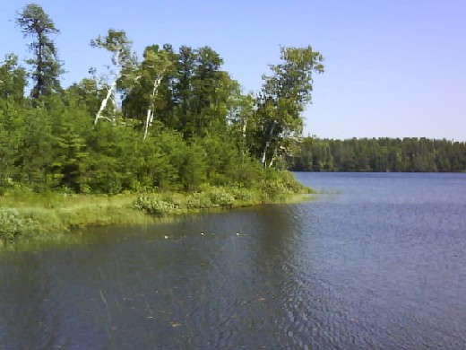 Ontario 012 Trees And Lakes.jpg